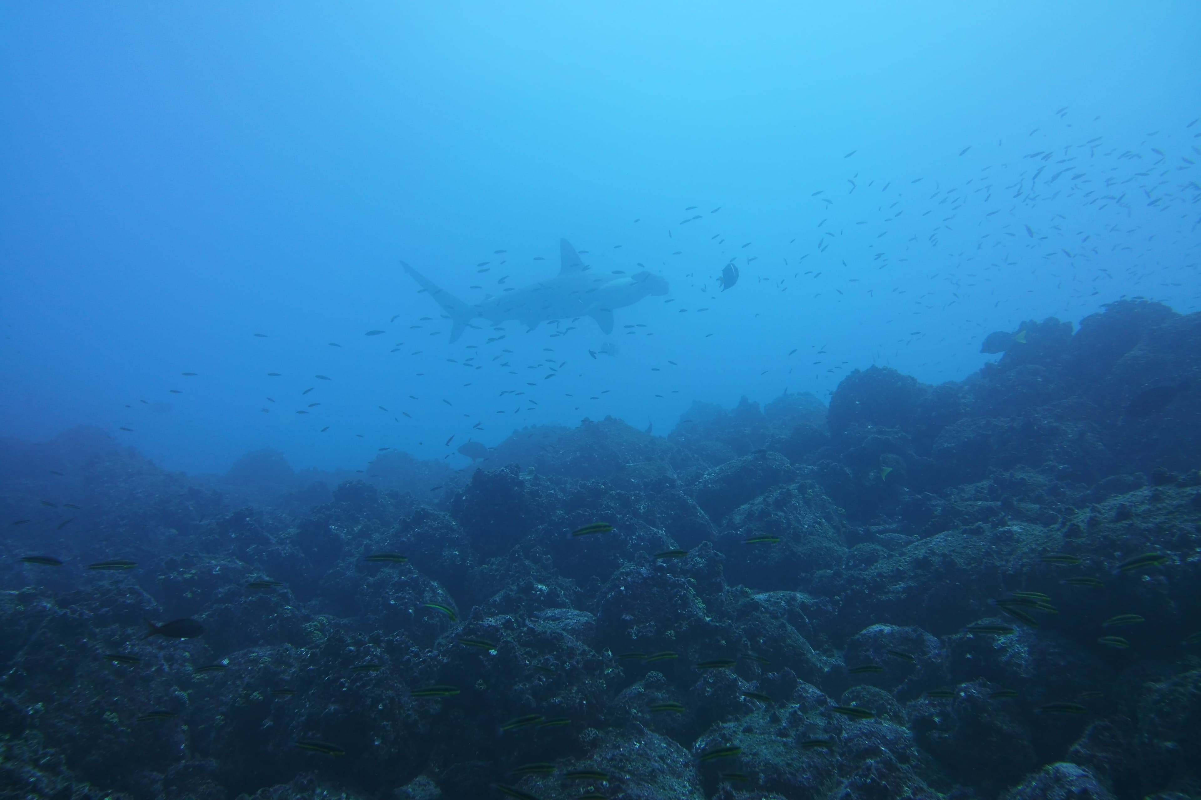 Buceo en cueva submarina