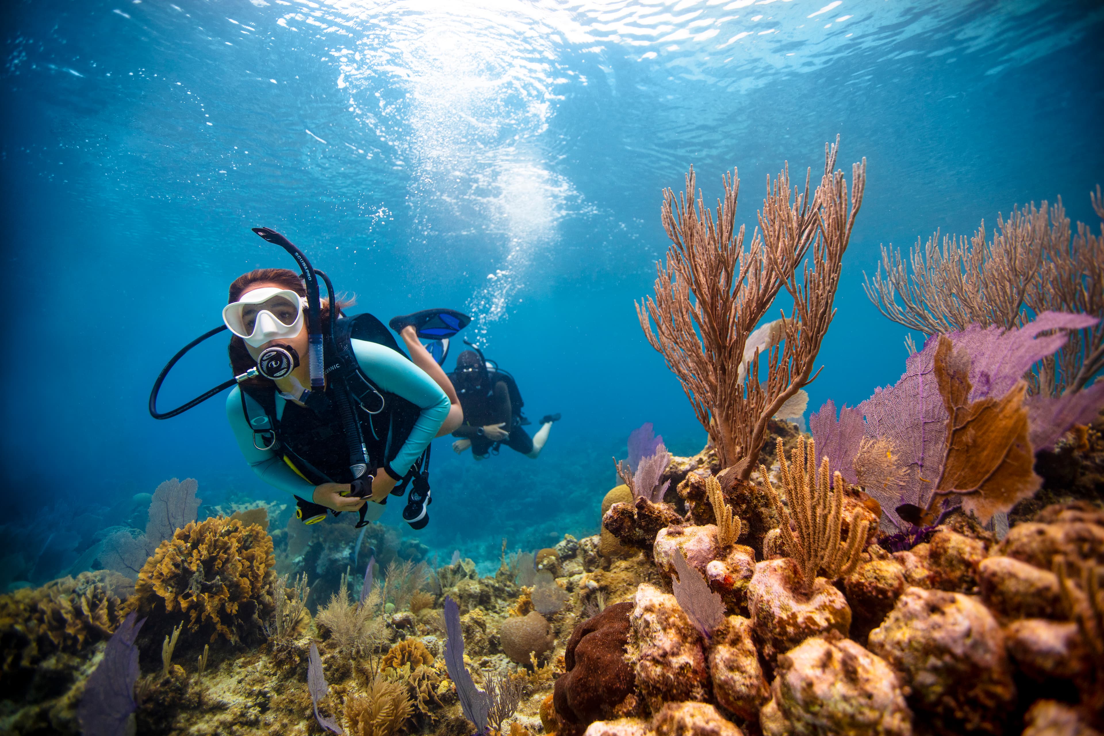 Fondo de buceo
